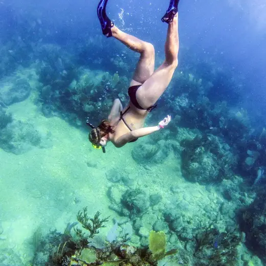 Promotional image published by Abe's Snorkeling & Bio Bay Tours