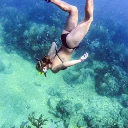 Promotional image published by Abe's Snorkeling & Bio Bay Tours