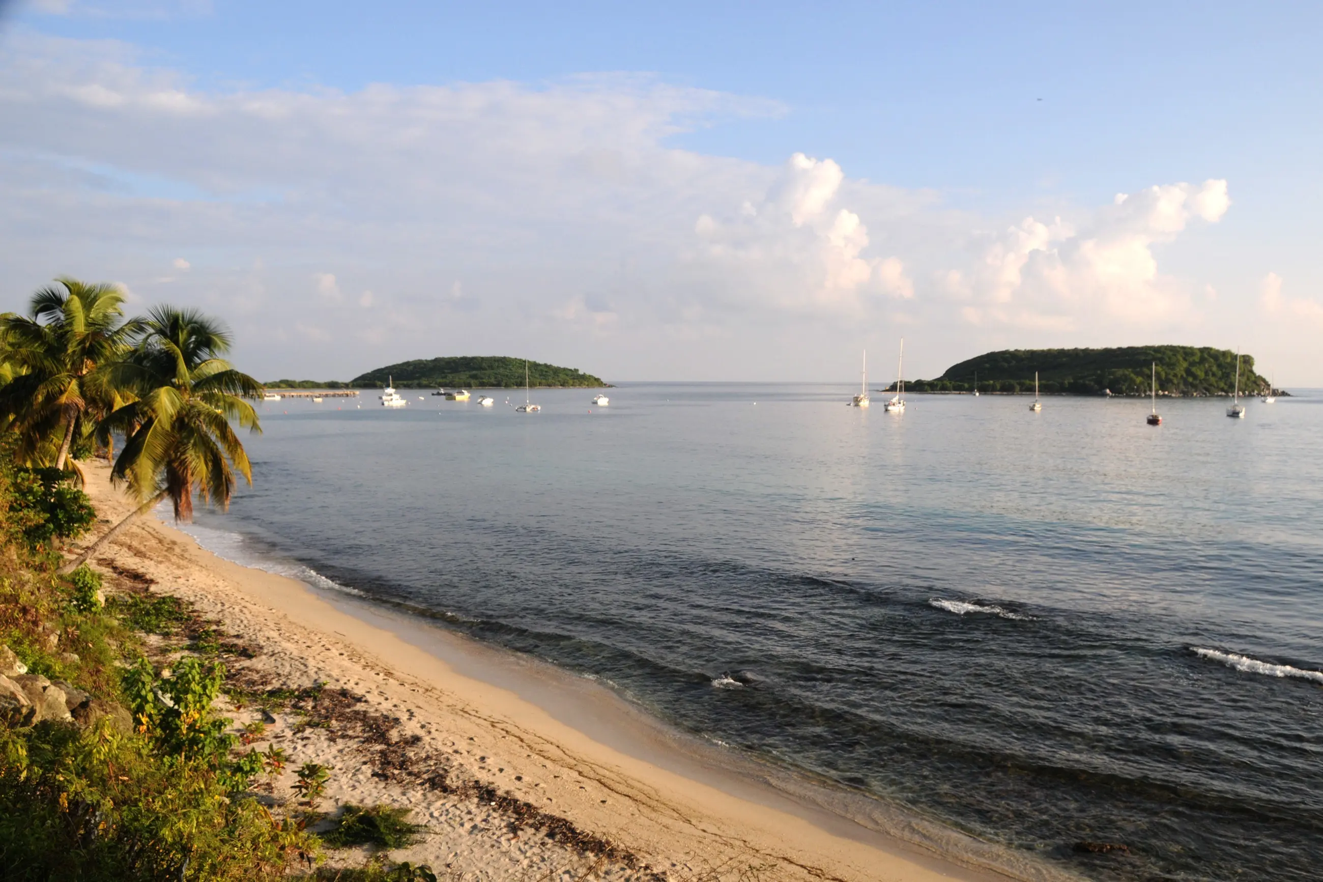 Calle Flamboyán in Esperanza, Vieques, on a bright afternoon
