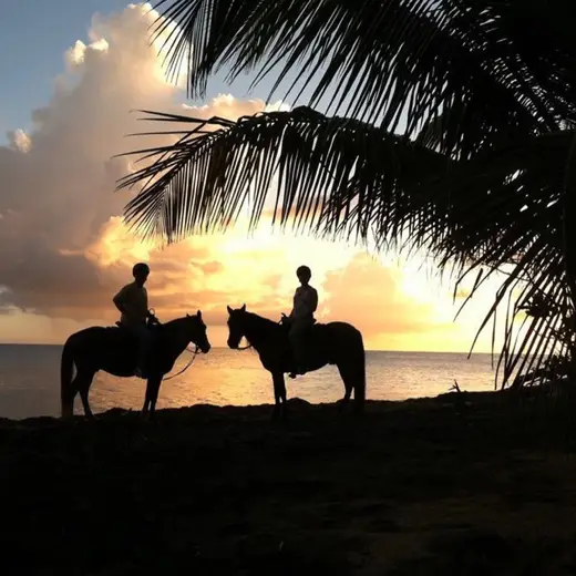 Promotional image published by Esperanza Riding Company