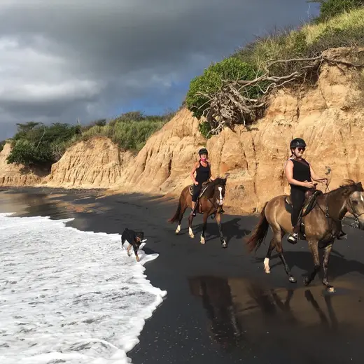 Promotional image published by Esperanza Riding Company