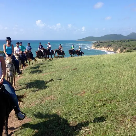 Promotional image published by Esperanza Riding Company