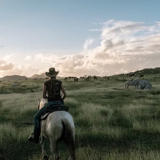 Promotional image published by Esperanza Riding Company