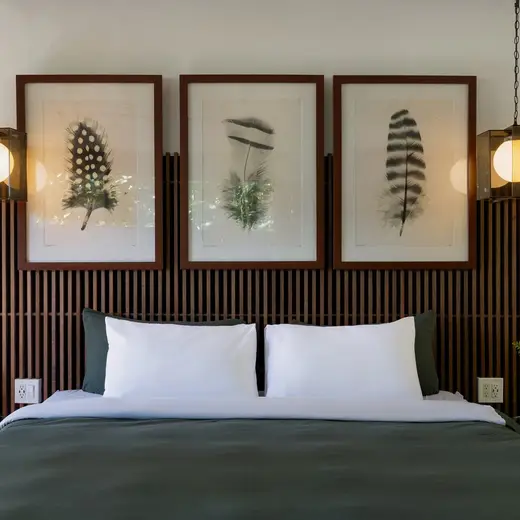 Promotional image published by Finca Victoria