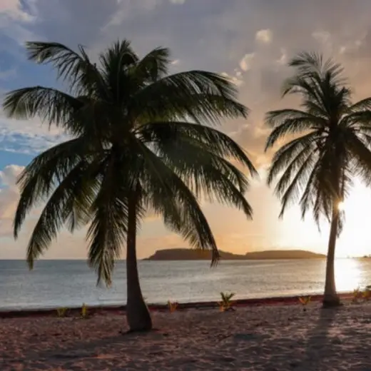 Promotional image published by Hacienda Tamarindo