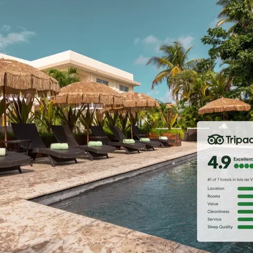 Promotional image published by Malecon House