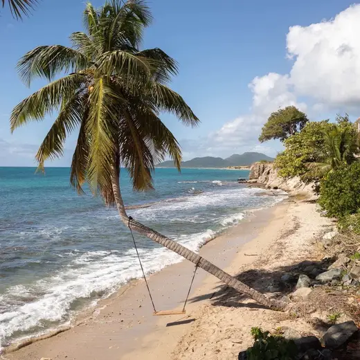Promotional image published by Malecon House