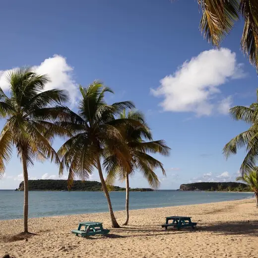 Promotional image published by Malecon House