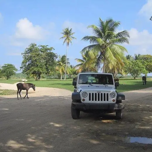 Promotional image published by Maritza's Car Rental