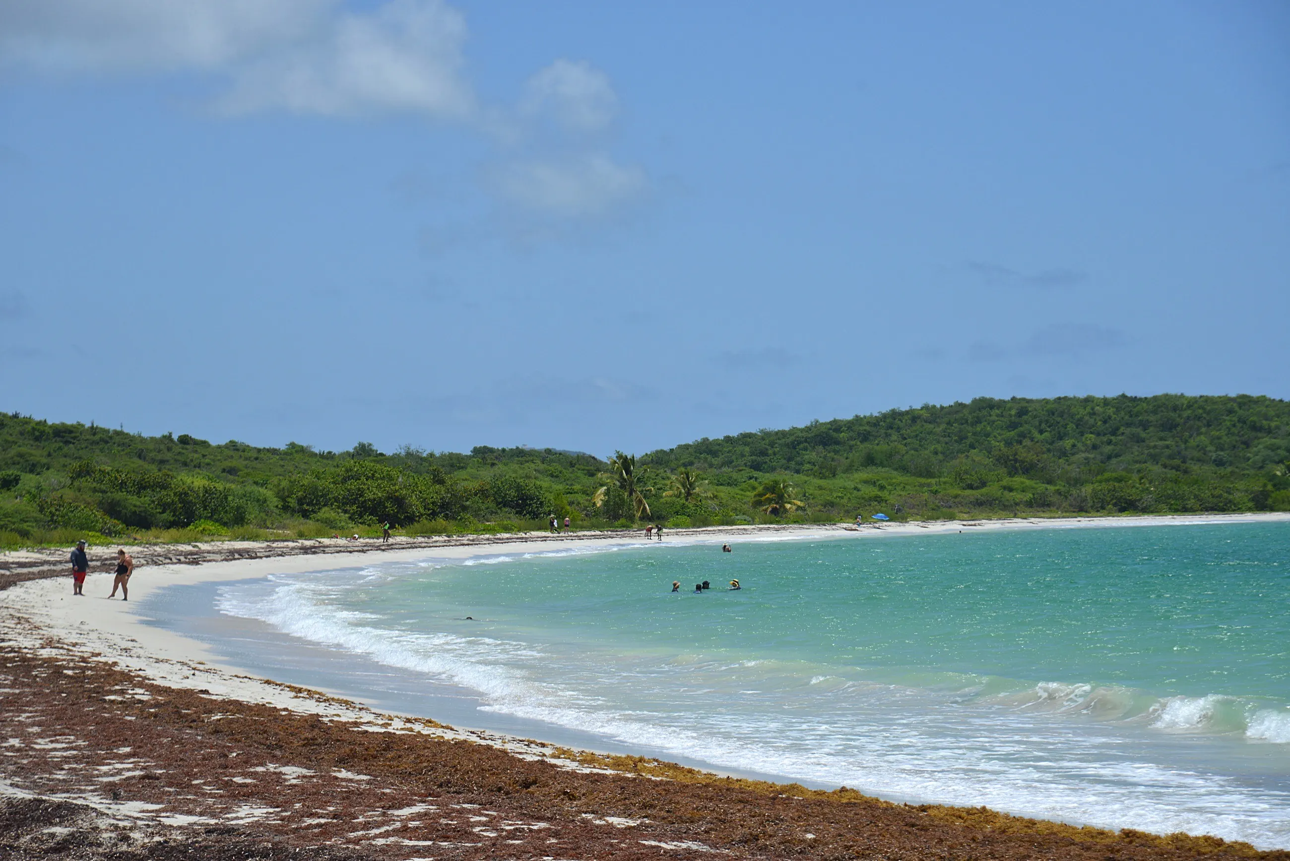 Swimmers in the shallows at Playa La Chiva, Vieques, with scrub-covered hills behind