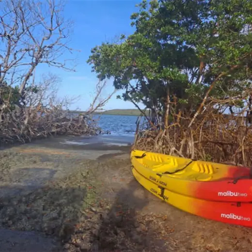 Promotional image published by The Pirate Bio Bay Tours & Rentals